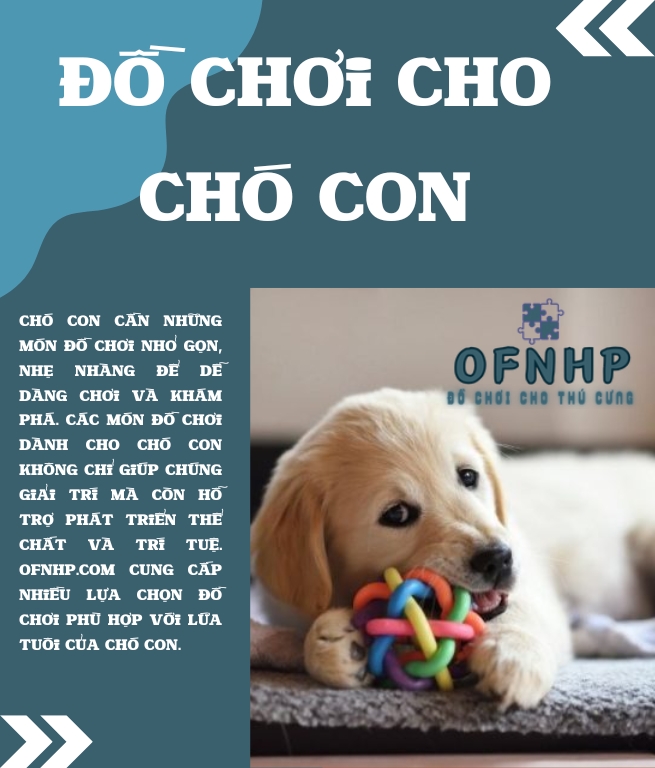 Giới Thiệu ĐỒ CHƠI CHO THÚ CƯNG OFNHP