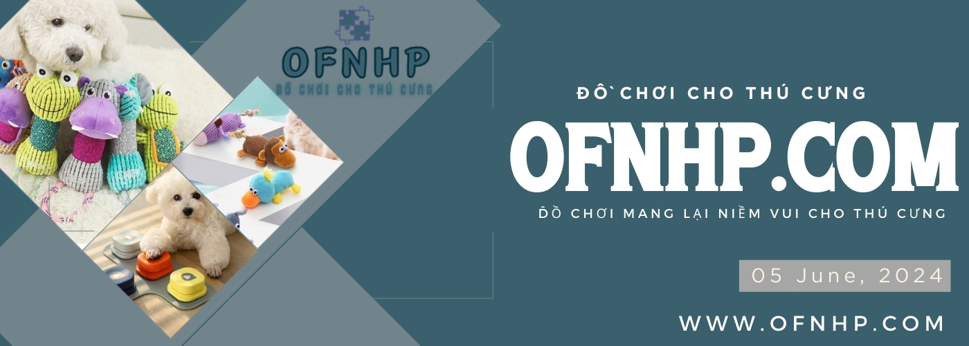 image slide banner home page Đồ chơi cho thú cưng ofnhp (1)