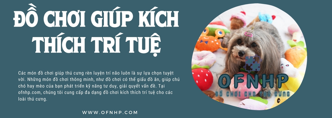 image slide banner home page Đồ chơi cho thú cưng ofnhp (3)